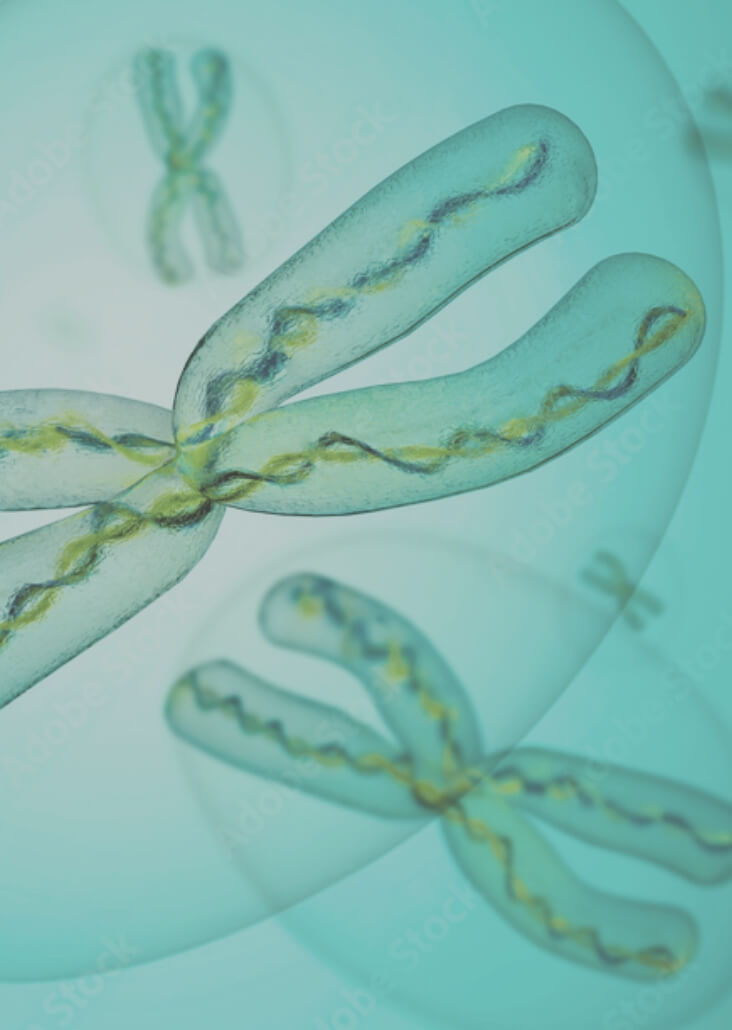 胚胎着床前基因诊断 PGT-M(PGD)