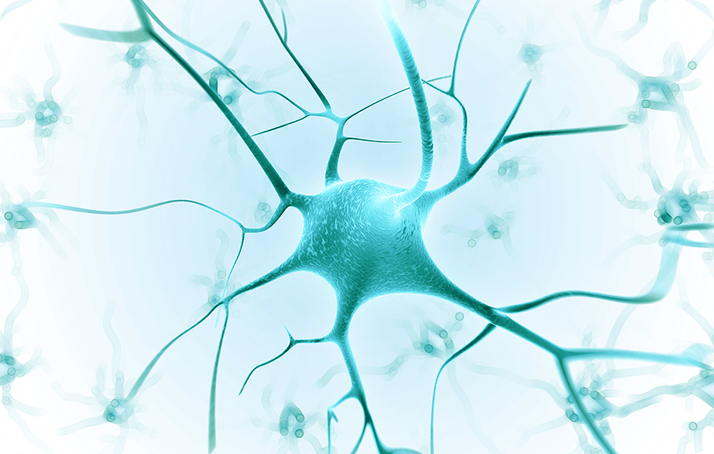 第三型小脑萎缩症 Spinocerebellar ataxia type 3(SCA3)