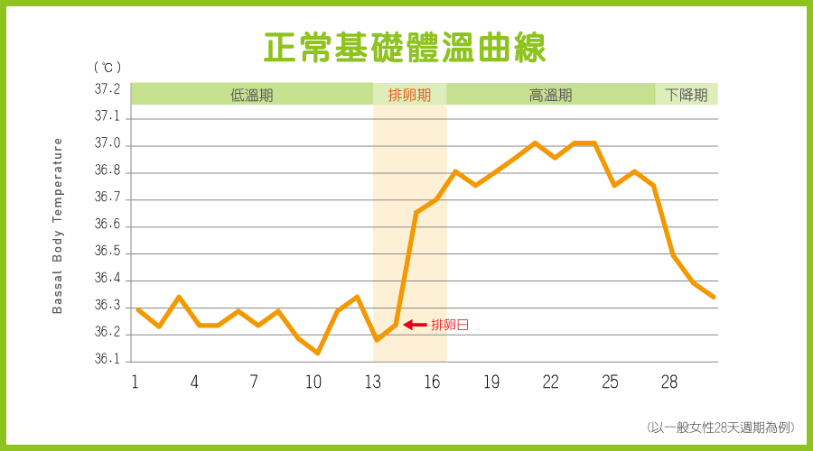 基础体温曲线 基础体温曲线