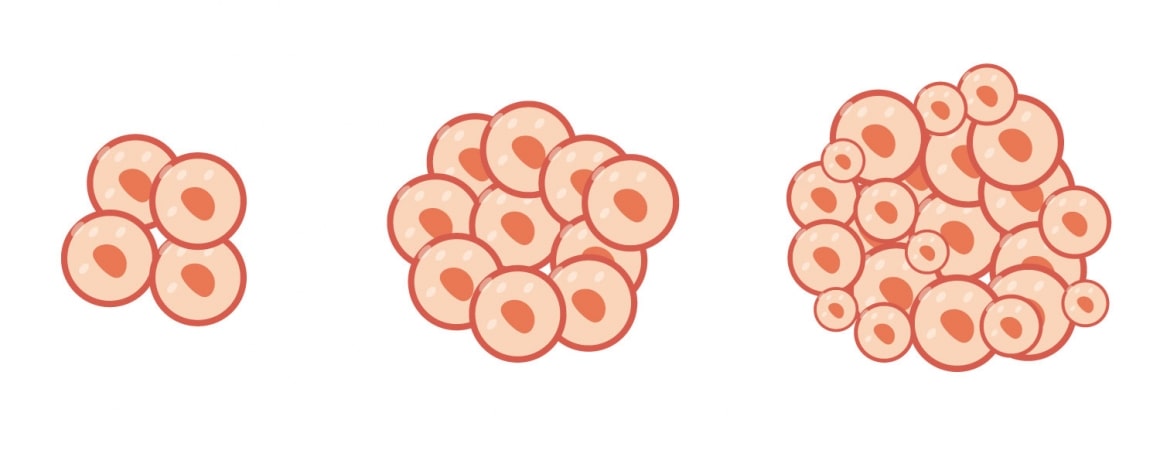 抽血了解AMH值：预测卵子库存量