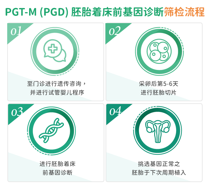 胚胎着床前基因诊断筛检流程