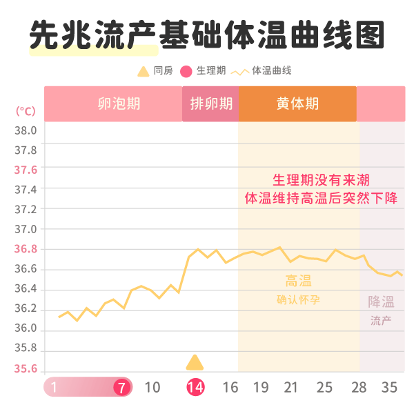 先兆流产基础体温曲线图