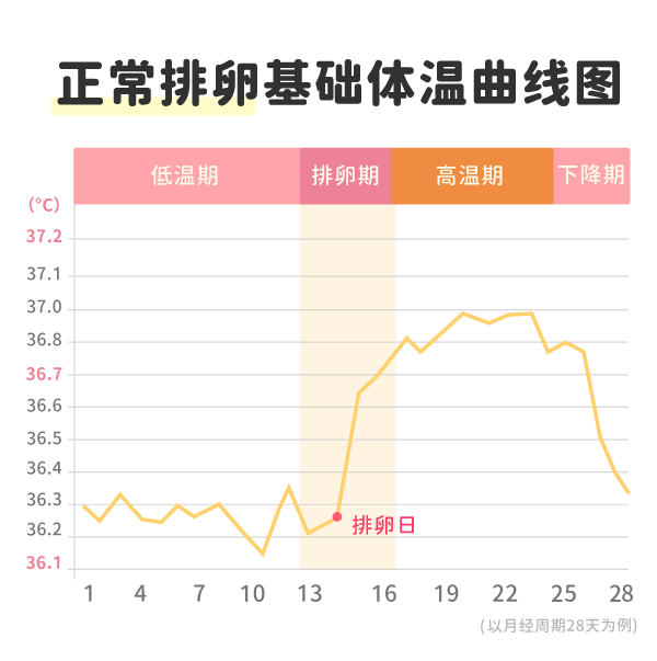 正常排卵基础体温曲线图