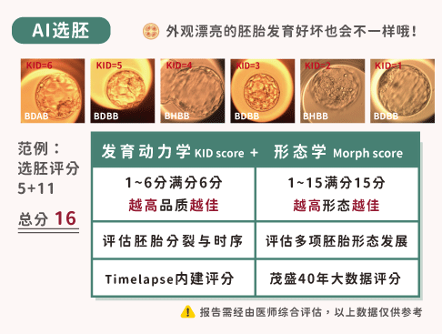 AI人工智能胚胎筛选评分方式