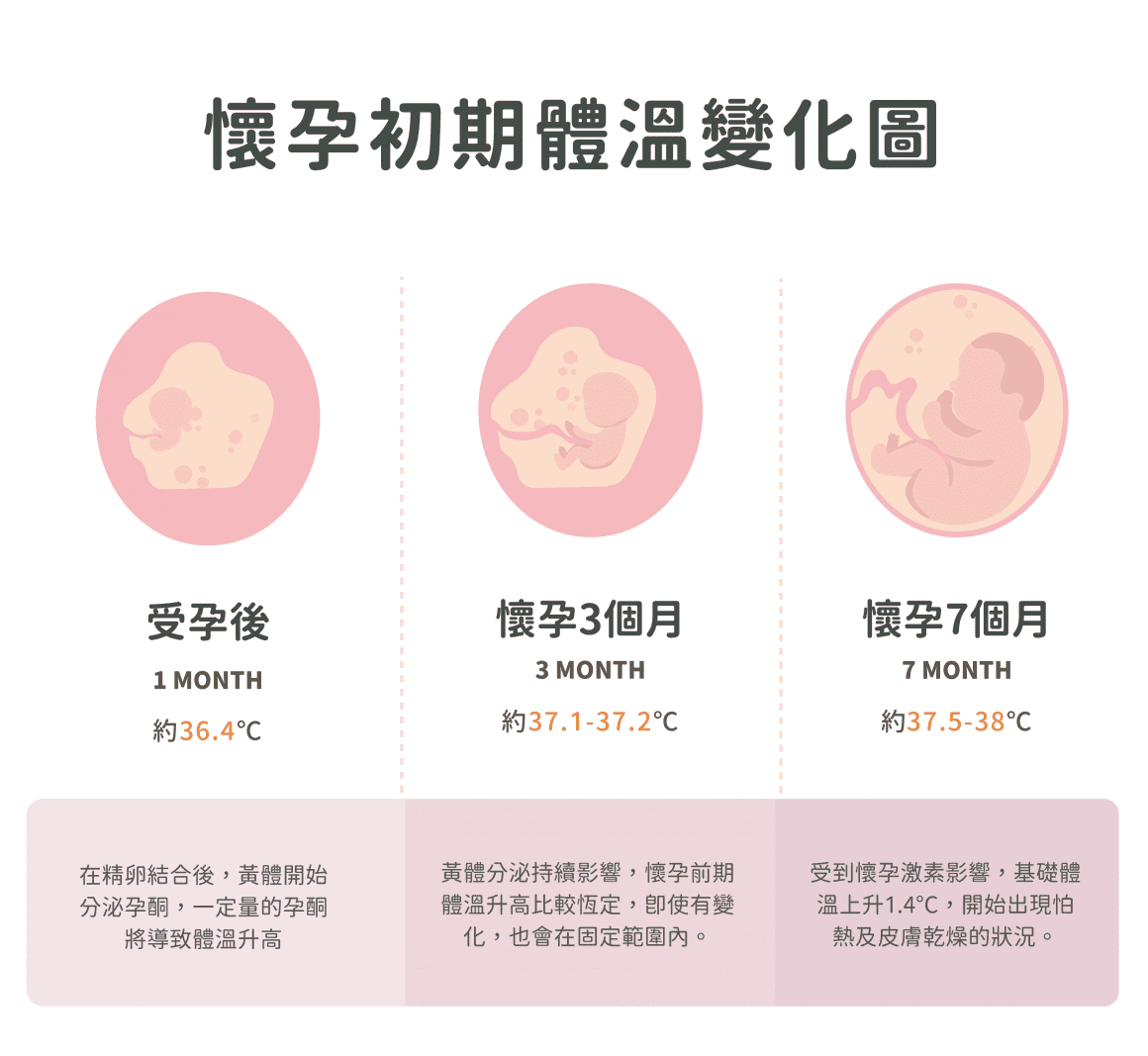 茂盛医院生殖医学中心-怀孕初期体温变化图