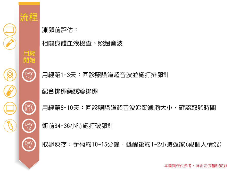 凍卵流程圖-20200218更