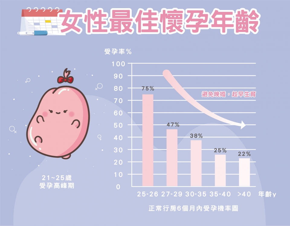 不孕症的成因-女性最佳懷孕年齡