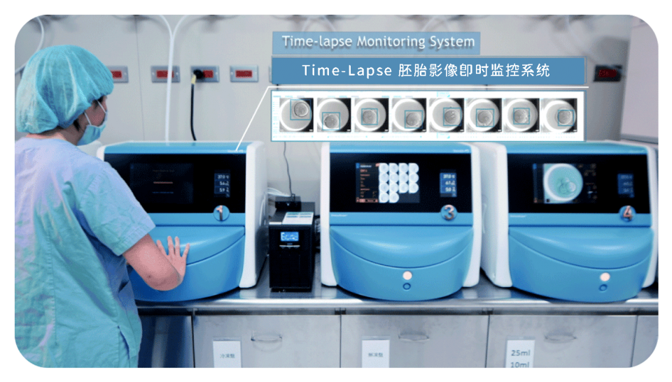 胚胎影像即时监控系统 胚胎影像即时监控系统