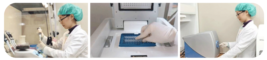 全基因组放大、基因突变点侦测、基因芯片检测 全基因组放大、基因突变点侦测、基因芯片检测