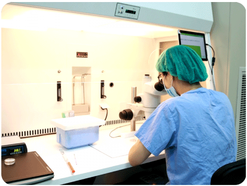 tw_package_list_23f14_h7j6xgbz2t tw_package_list_23f14_h7j6xgbz2t