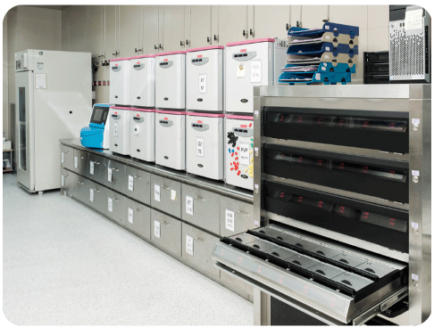 tw_package_list_23f14_49c2s5fusa tw_package_list_23f14_49c2s5fusa