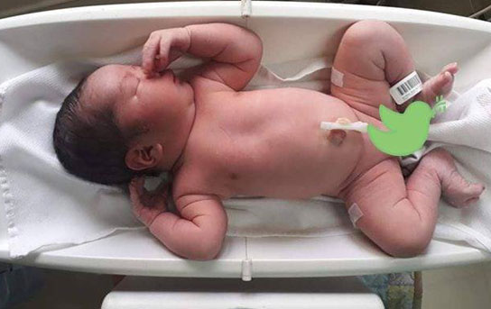菲律宾媒体 菲律宾媒体