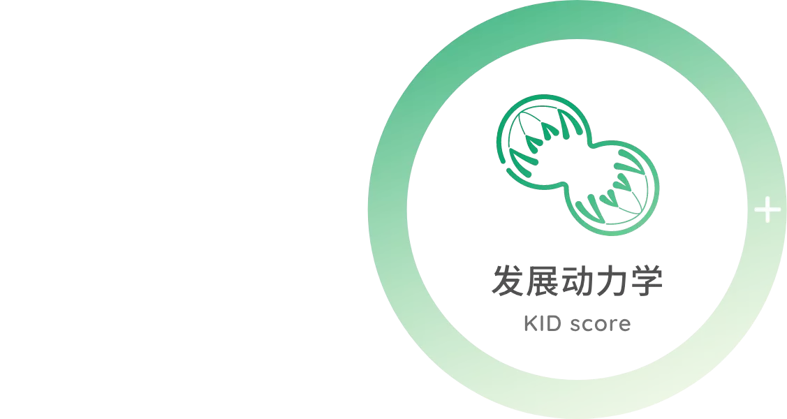 发展动力学