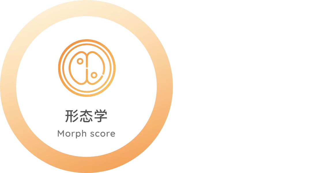 形态学